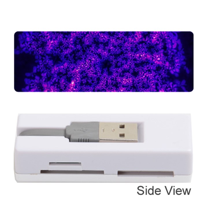 Queen Annes Lace in Blue and Purple Memory Card Reader (Stick)