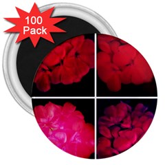 Geranium Collage 3  Magnets (100 Pack) by okhismakingart