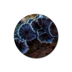 Tree Fungus Rubber Round Coaster (4 Pack)  by okhismakingart