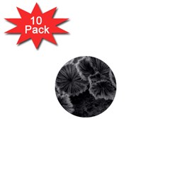 Tree Fungus Black And White 1  Mini Buttons (10 Pack)  by okhismakingart