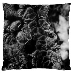 Tree Fungus Branch Vertical High Contrast Large Flano Cushion Case (two Sides) by okhismakingart