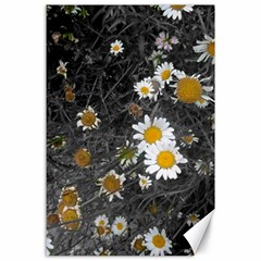 Black And White With Daisies Canvas 24  X 36  by okhismakingart