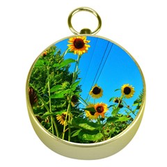 Bright Sunflowers Gold Compasses by okhismakingart