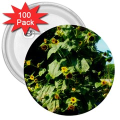 Big Sunflowers 3  Buttons (100 Pack)  by okhismakingart