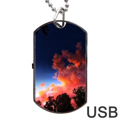 Deep Blue Sunset Dog Tag Usb Flash (two Sides) by okhismakingart