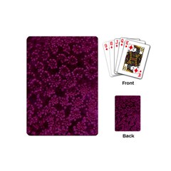 Dark Pink Queen Anne s Lace (up Close) Playing Cards (mini) by okhismakingart