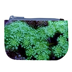 Green Queen Anne s Lace Landscape Large Coin Purse by okhismakingart