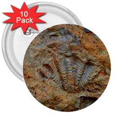 Shell Fossil 3  Buttons (10 Pack)  by okhismakingart