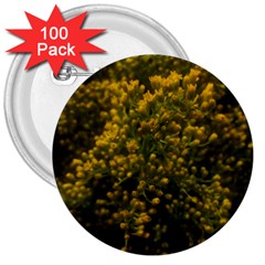 Yellow Goldrenrod 3  Buttons (100 Pack)  by okhismakingart