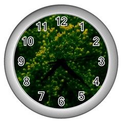 Green Goldenrod Wall Clock (silver)