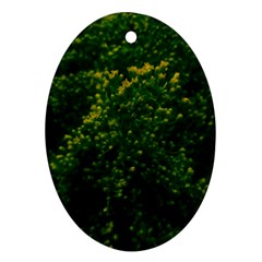 Green Goldenrod Oval Ornament (two Sides)