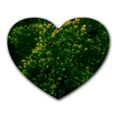 Green Goldenrod Heart Mousepads by okhismakingart