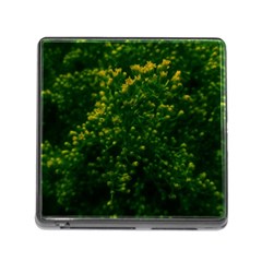 Green Goldenrod Memory Card Reader (square 5 Slot) by okhismakingart