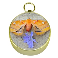 Moth And Chicory Gold Compasses by okhismakingart