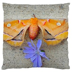Moth And Chicory Large Flano Cushion Case (two Sides) by okhismakingart