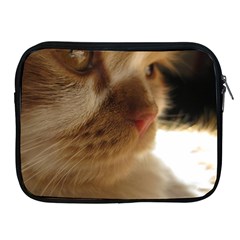 Cute Cat Face Apple Ipad 2/3/4 Zipper Cases by LoolyElzayat