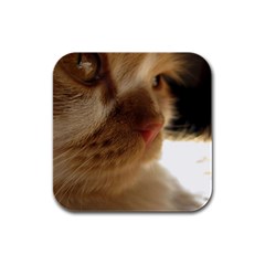 Cute Cat Face Rubber Square Coaster (4 Pack)  by LoolyElzayat