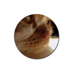 Cute Cat Face Rubber Round Coaster (4 Pack)  by LoolyElzayat
