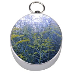 Blue Goldenrod Silver Compasses by okhismakingart