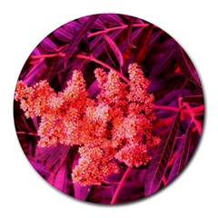 Pink Sideways Sumac Round Mousepads by okhismakingart