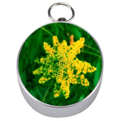 Yellow Sumac Bloom Silver Compasses by okhismakingart