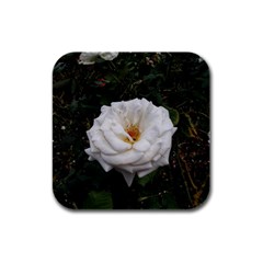 White Smooth Rose Rubber Square Coaster (4 Pack)  by okhismakingart