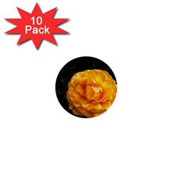 Yellow Rose 1  Mini Buttons (10 Pack)  by okhismakingart