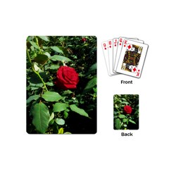 Deep Red Rose Playing Cards (mini) by okhismakingart