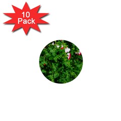 Red And White Park Flowers 1  Mini Buttons (10 Pack)  by okhismakingart