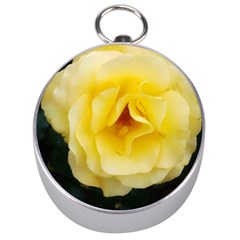 Pale Yellow Rose Silver Compasses by okhismakingart