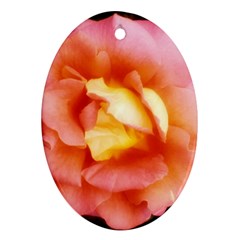 Light Orange And Pink Rose Oval Ornament (two Sides) by okhismakingart