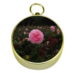 Pink Rose Field Ii Gold Compasses by okhismakingart