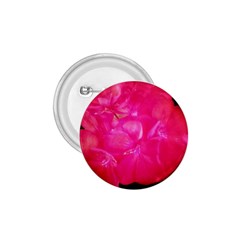 Single Geranium Blossom 1 75  Buttons