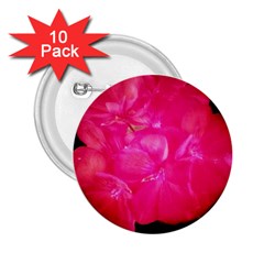 Single Geranium Blossom 2 25  Buttons (10 Pack)  by okhismakingart