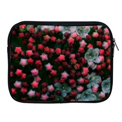 Floral Stars -bright Apple Ipad 2/3/4 Zipper Cases by okhismakingart