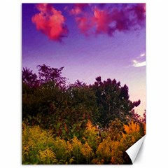 Purple Afternoon Canvas 18  X 24  by okhismakingart