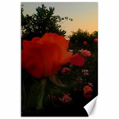 Rose Landscape Canvas 24  X 36  by okhismakingart