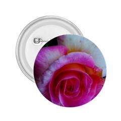 Spiral Rose 2 25  Buttons by okhismakingart