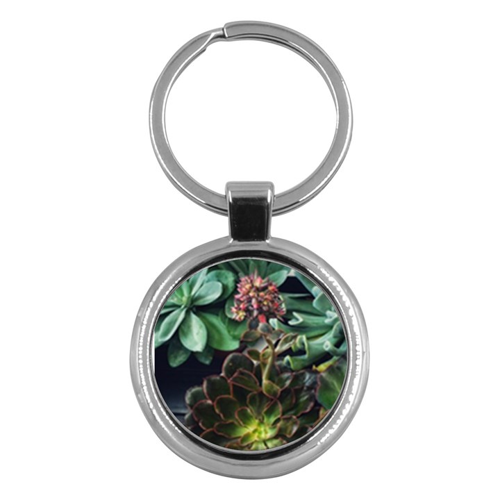 Succulents Key Chains (Round) 