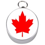 Flag of Canada, 1964 Silver Compasses