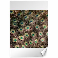 Bird Peacock Tail Feathers Canvas 24  X 36  by Pakrebo