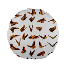 Butterflies Insect Swarm Standard 15  Premium Flano Round Cushions
