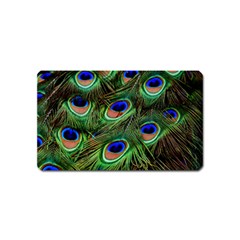 Peacock Feathers Plumage Iridescent Magnet (name Card) by HermanTelo