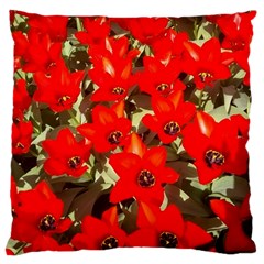 Columbus Commons Red Tulips Large Cushion Case (two Sides) by Riverwoman