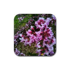 Redbud In April Rubber Coaster (square)  by Riverwoman