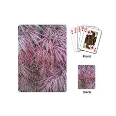Fineleaf Japanese Maple In April Playing Cards Single Design (mini) by Riverwoman