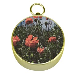 Faded Poppy Field  Gold Compasses by okhismakingart