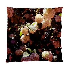 Pink Snowballs Ii Standard Cushion Case (two Sides) by okhismakingart