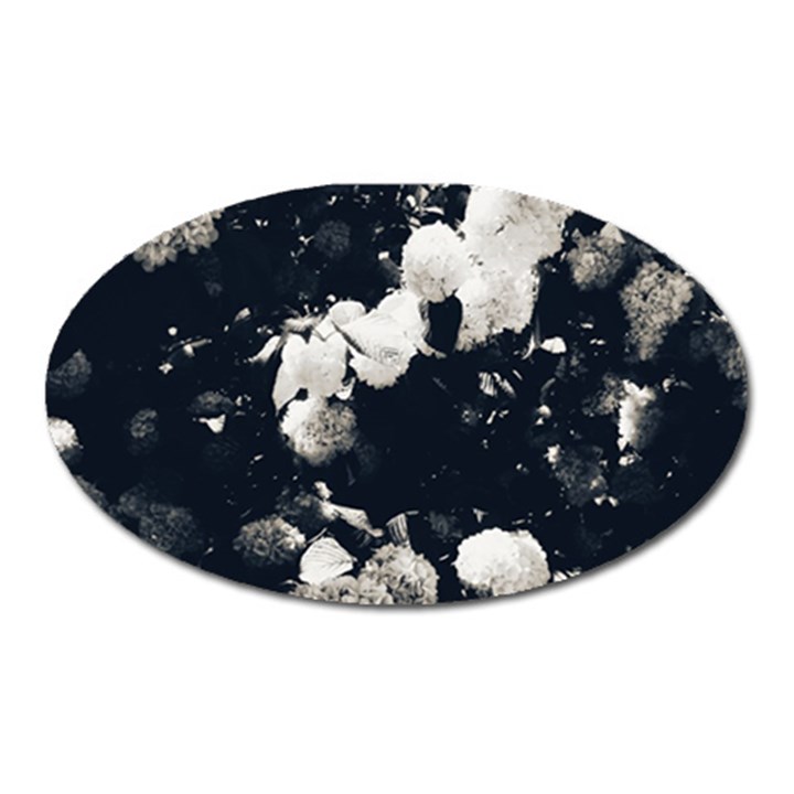 High Contrast Black and White Snowballs II Oval Magnet