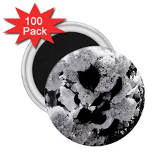 Black And White Snowballs 2 25  Magnets (100 Pack) 